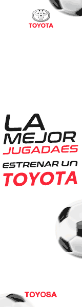 arte_toyosa_160x600.gif