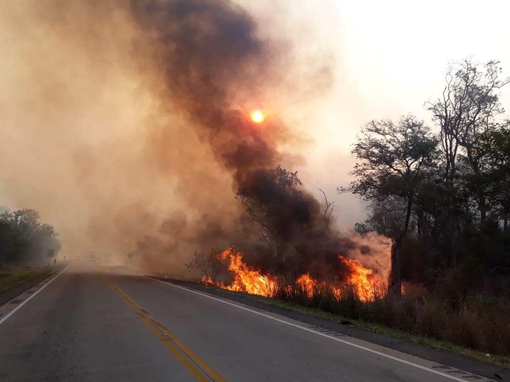 incendio forestal