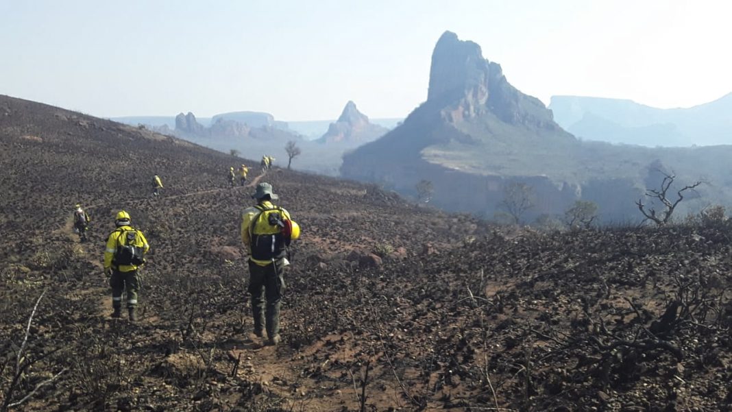 Dos millones de hectáreas afectadas por los incendios. Foto: APG.