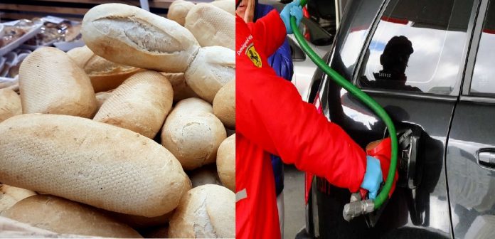 argentina sf Con la subida de precio del pan y la gasolina, se espera que los alimentos vayan en aumento. Foto: Infobae/Msn