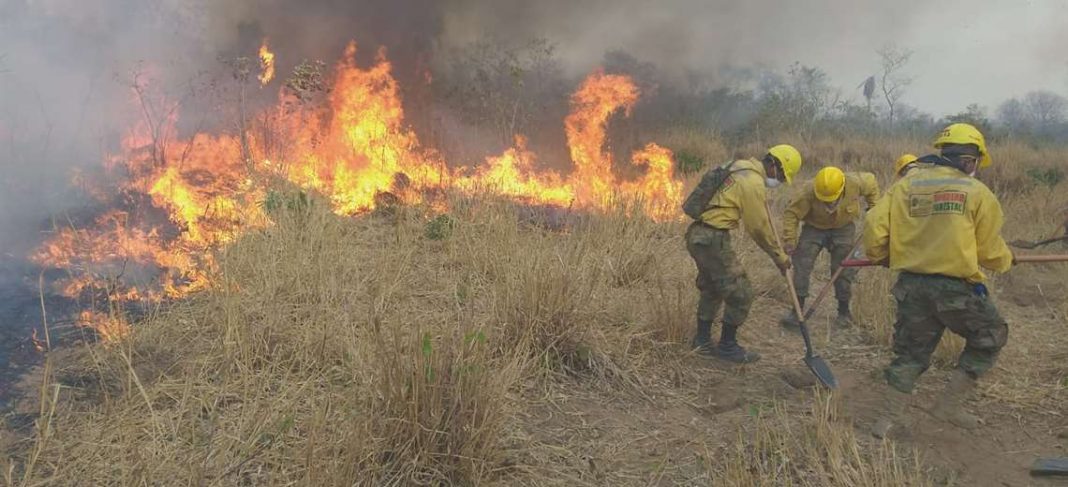 Desde la ABT promoverán juicios penales por incendios en Santa Cruz