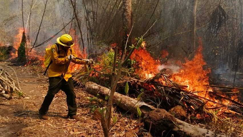 Informan que incendios forestales en Santa Cruz consumieron 121.020 hectáreas de pastizales