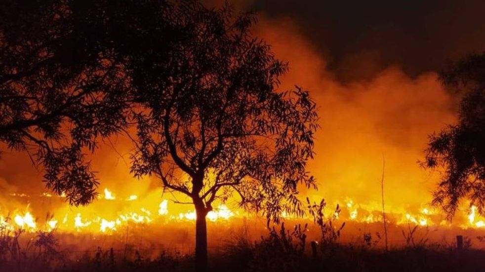 9% de Corrientes arrasado por el fuego