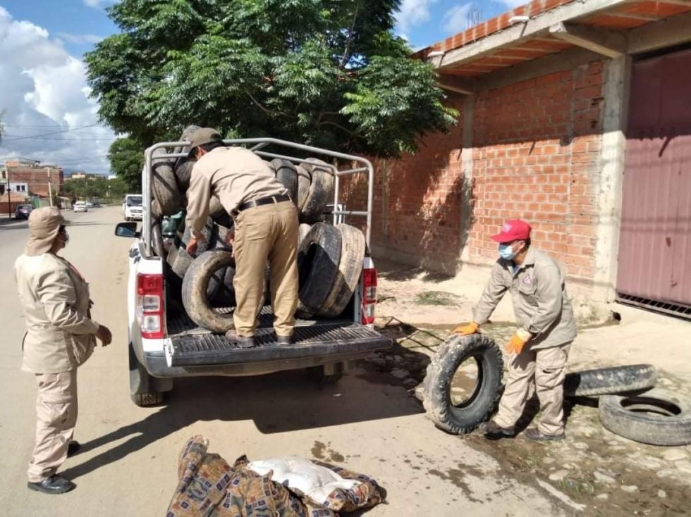 Se registran 33 casos de dengue en Tarija, intensifican tareas de prevención