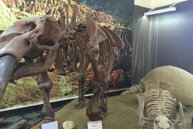 Tarija es declarada capital del yacimiento paleontológico de mamíferos gigantes