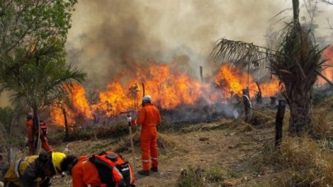 Defensa Civil reporta 2.042 focos de calor en el país, la mayor parte en Santa Cruz