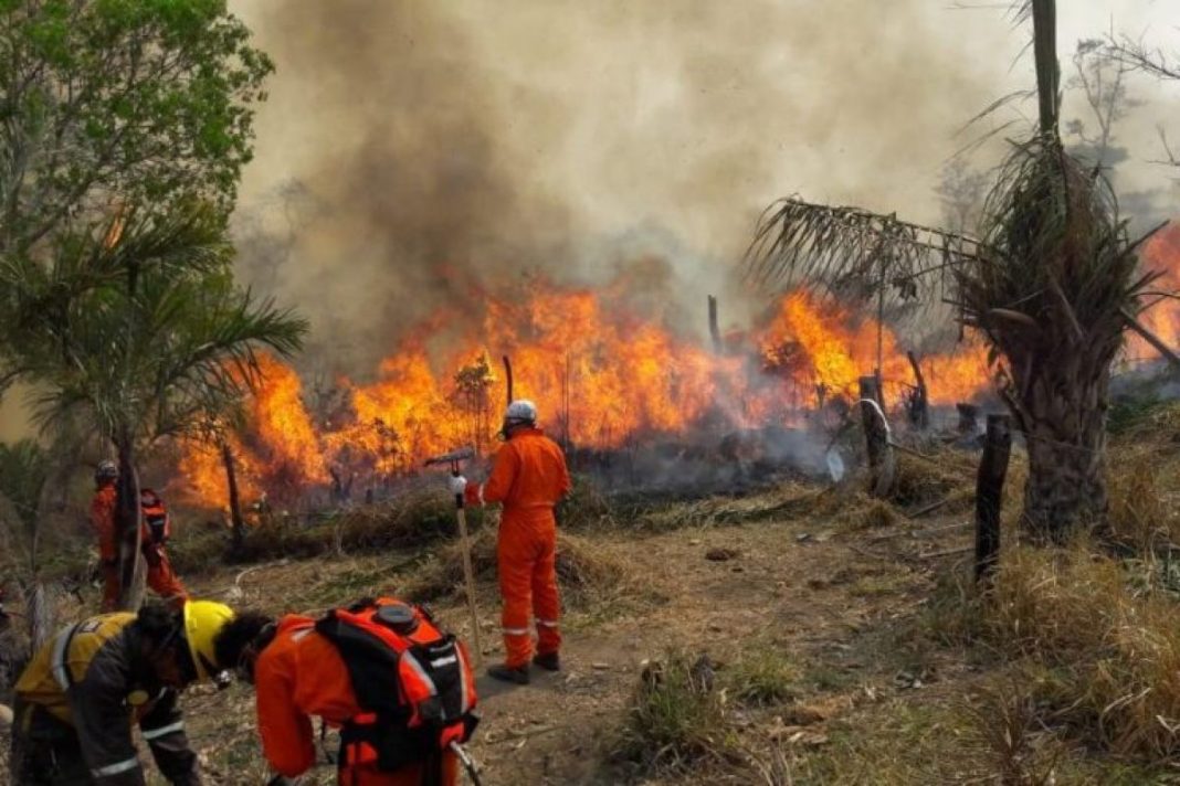 Defensa Civil reporta 2.042 focos de calor en el país, la mayor parte en Santa Cruz