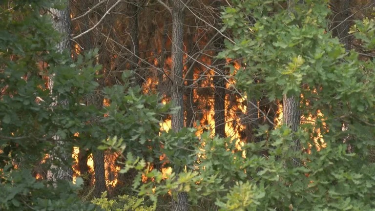 Incendios forestales avanzan en Europa