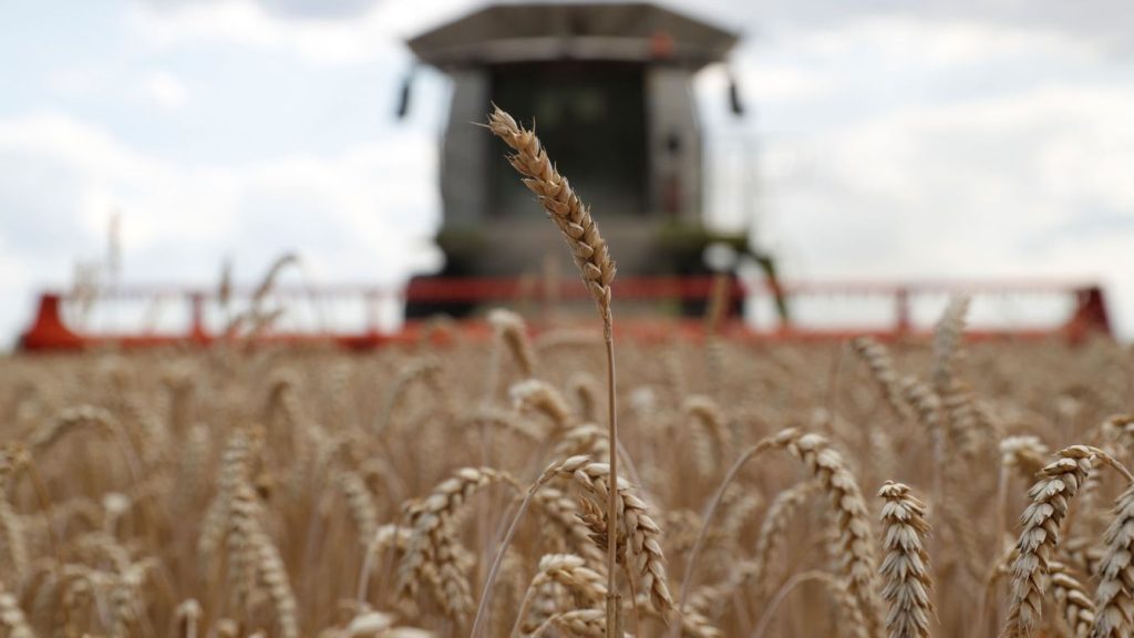 ONU pide efectivizar la exportación de grano