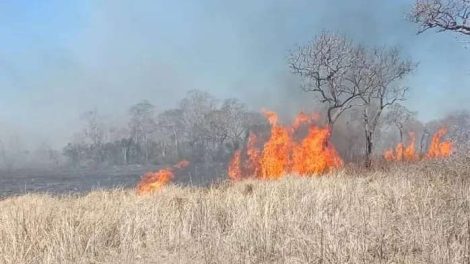 Defensa Civil denuncia que el incendio en San Matías consumió 2.000 hectáreas y fue provocado