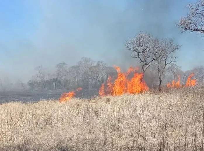 Defensa Civil denuncia que el incendio en San Matías consumió 2.000 hectáreas y fue provocado
