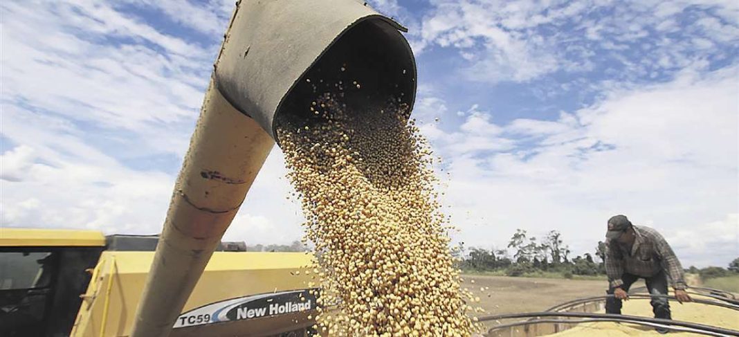 Alertan contrabando de soya a Bolivia y pérdidas por USD 400 millones