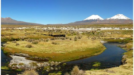 Trabajadores del Parque Sajama se declaran en emergencia