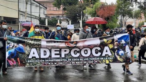 Cocaleros reactivan protestas este lunes