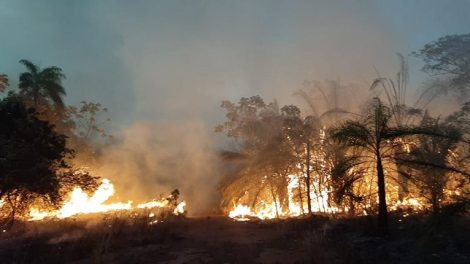 Existen 24 incendios activos en cuatro departamentos de Bolivia  