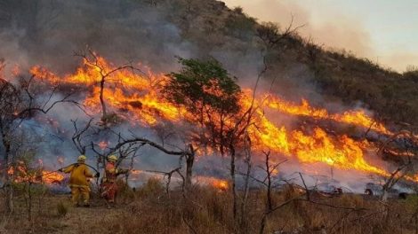 Incendios en Argentina ingresan a Bolivia