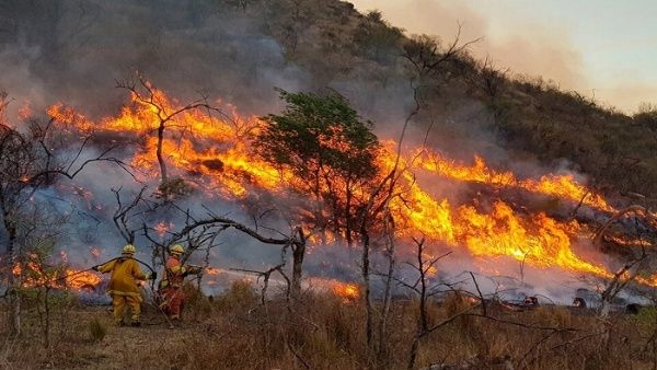 Incendios en Argentina ingresan a Bolivia