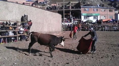 Un muerto por corrida de toros en Yamparáez