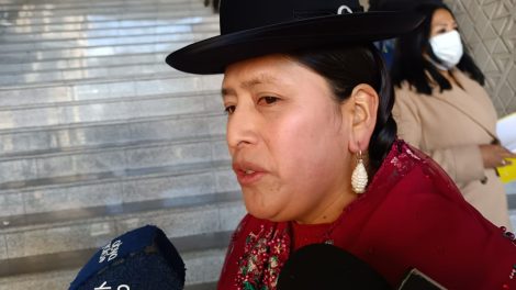 Senadora del MAS pide equidad de género