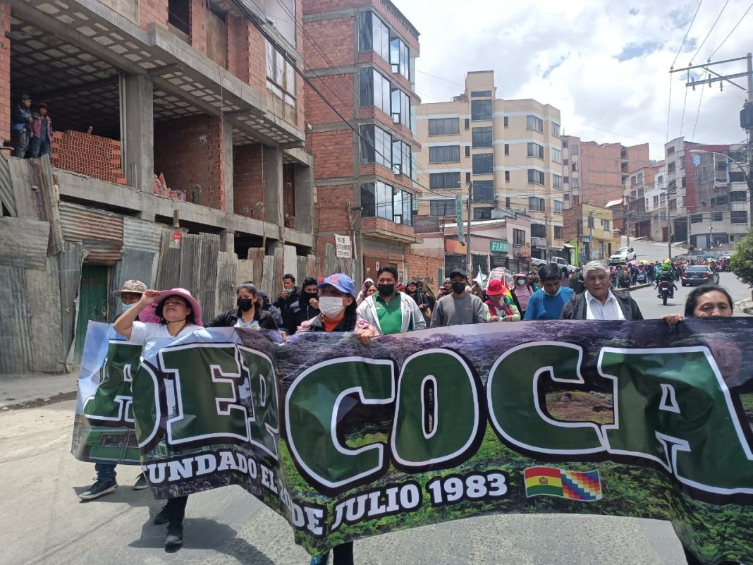 Adepcoca anuncia bloqueo de caminos si en esta semana el Gobierno no atiende sus peticiones