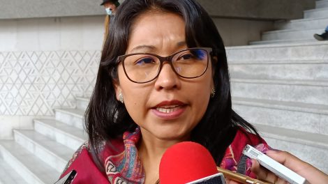 Diputada Quispe asegura que no se necesita otra ley de Censo y basta con la CPE