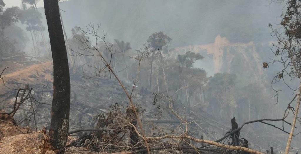 Incendio en Los Yungas afecta la respiración, visibilidad y distintos cultivos