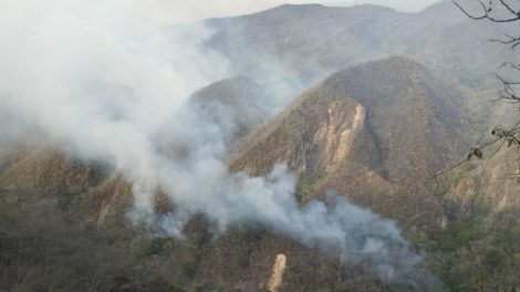 Persisten los incendios en el Parque Nacional Iñao