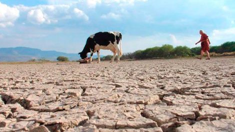 Siete departamentos son afectados por la sequía