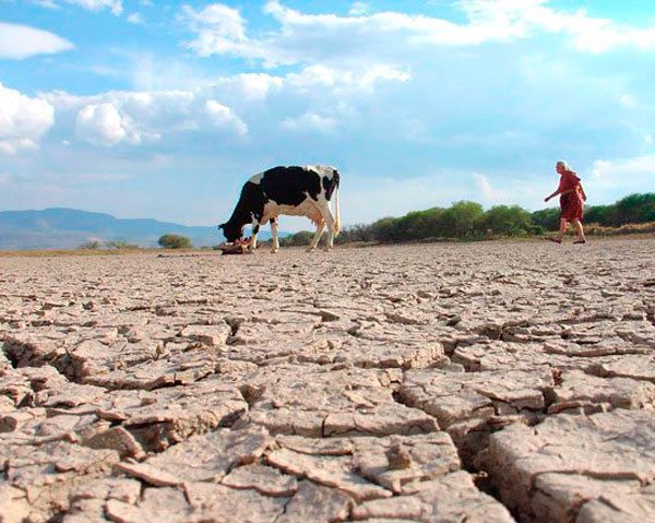 Siete departamentos son afectados por la sequía