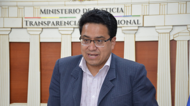 Viceministro Siles recuerda que Añez debe agotar vía interna en Bolivia para acudir a un organismo internacional