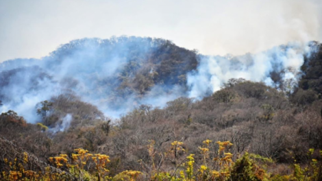 Incendio en el Agarague amenaza con extenderse