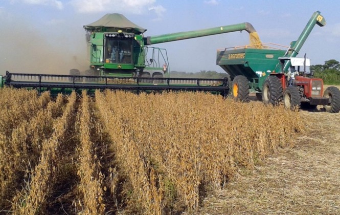 Producción de granos cae por segundo año consecutivo