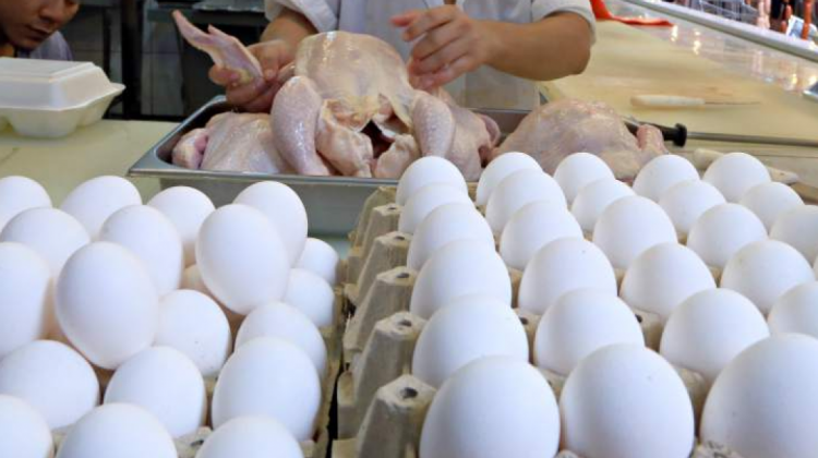 Advierten desabastecimiento de pollo y huevos
