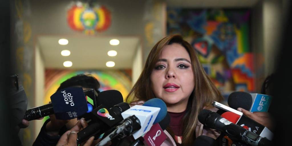 Viceministra Alcón condena protestas violentas