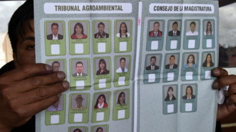 ALP divulga cronograma para elecciones judiciales