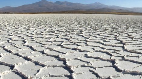 Cinco salares de Potosí serán explorados