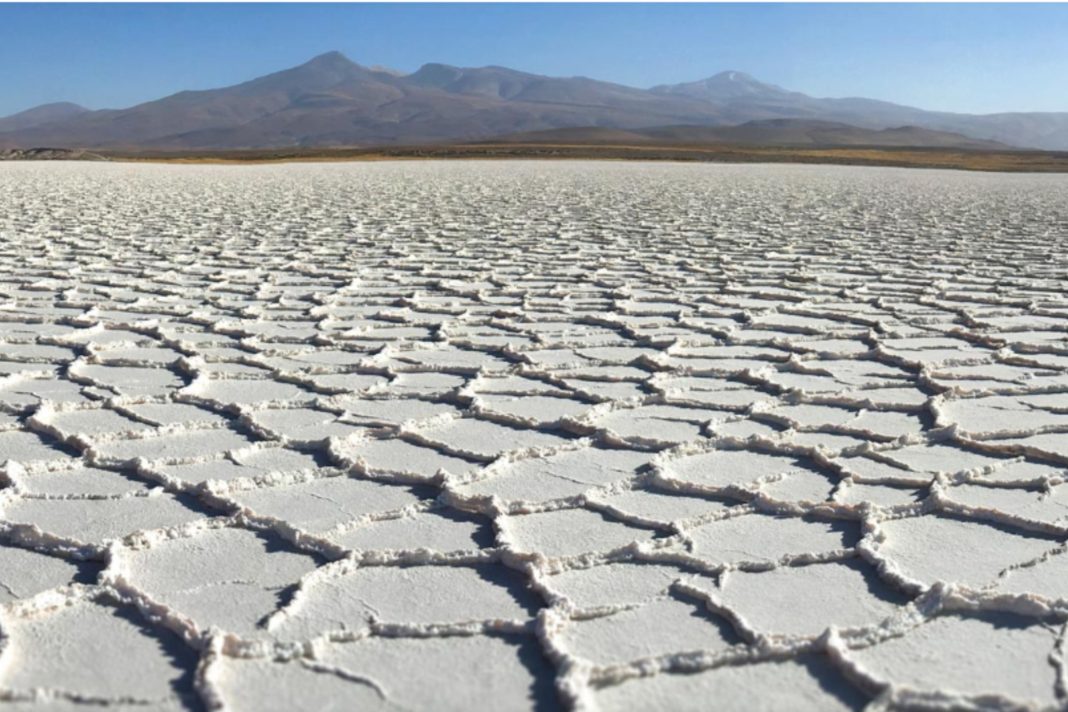 Cinco salares de Potosí serán explorados