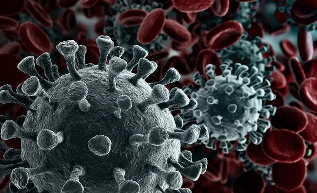 OMS declara fin de la emergencia por coronavirus