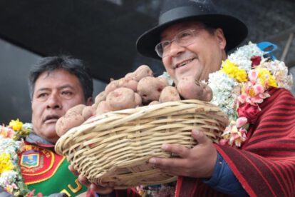 megaproyecto de papa en El Alto