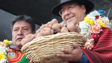 megaproyecto de papa en El Alto