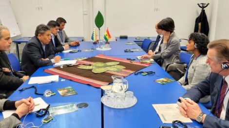 Examen crítico de la hoja de coca en reunión con la OMS