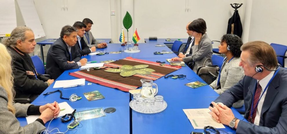 Examen crítico de la hoja de coca en reunión con la OMS