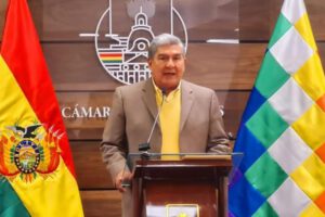 Propuestas legislativas del Movimiento Al Socialismo en el Senado