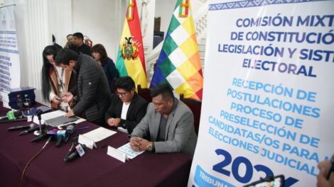 precandidatos habilitados elecciones judiciales