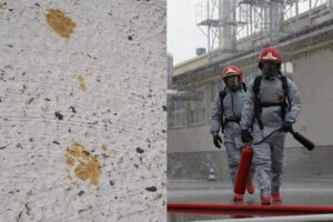 gato radioactivo en tanque de desechos tóxicos