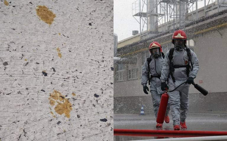 gato radioactivo en tanque de desechos tóxicos