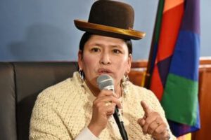 Virginia Velasco créditos millonarios