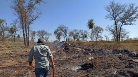 Cambio climático en Yacuiba