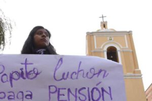 Ministro Del Castillo critica a padres detenidos por asistencia familiar