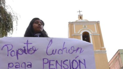 Ministro Del Castillo critica a padres detenidos por asistencia familiar